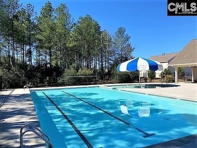 Located in sought-after Eagles Rest, one of Chapin's most - photo 31