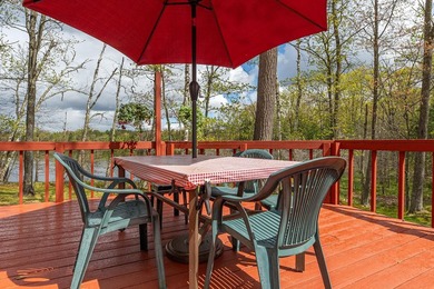 Lotus Lake - This impressive 4 bedroom, 2 bath home boasts over - photo 38