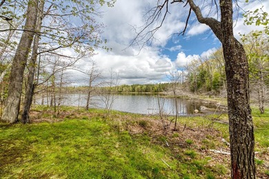 Lotus Lake - This impressive 4 bedroom, 2 bath home boasts over - photo 39