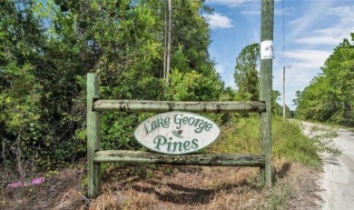Lake Acreage For Sale in Pierson, Florida