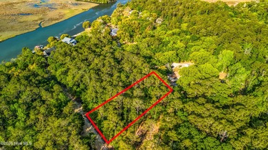 This beautiful lot offers over half an acre of wooded privacy - photo 3