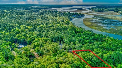 This beautiful lot offers over half an acre of wooded privacy - photo 7