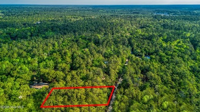 This beautiful lot offers over half an acre of wooded privacy - photo 8