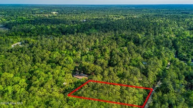 This beautiful lot offers over half an acre of wooded privacy - photo 9