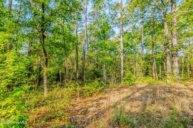 This beautiful lot offers over half an acre of wooded privacy - photo 10