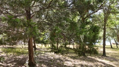 Stunning Wooded 2.3 Acre Lot with 404 ft of Shoreline! - photo 27