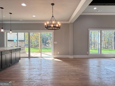 **Stunning New Construction with Owner's Suite on Main & Outdoor