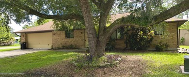 Welcome home to this charming 3-bedroom, 2-bathroom brick - photo 1
