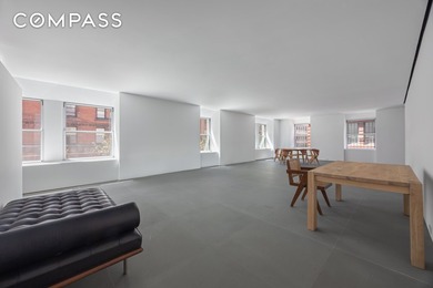 A Landmark in the Sky: The Footbridge Mansion at 9 Jay Street - photo 23