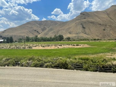 Lake Acreage For Sale in Clayton, Idaho