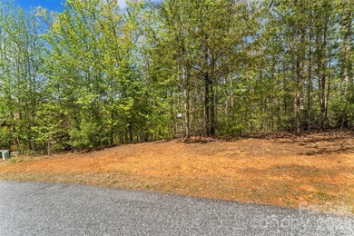 Gently sloping interior lot with winter and possible year round - photo 7