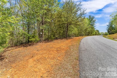 Gently sloping interior lot with winter and possible year round - photo 8