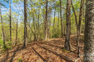 Gently sloping interior lot with winter and possible year round - photo 10