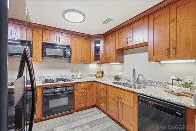 Welcome to urban living in the heart of Downtown San Diego. This - photo 11