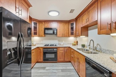 Welcome to urban living in the heart of Downtown San Diego. This - photo 12