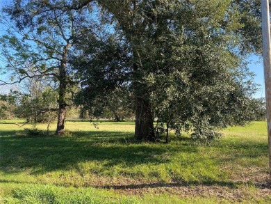 Lake Bluebonnet Lot For Sale in Angleton Texas