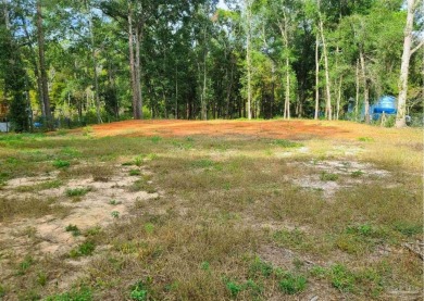 Lake Lot For Sale in Milton, Florida