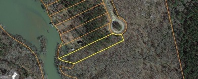 Lake Lot For Sale in Sparta, Georgia