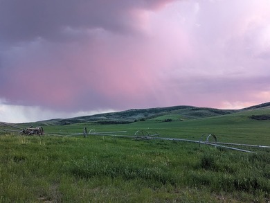160 sprawling acres of high yielding irrigated farm ground near - photo 7
