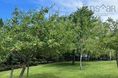 Very private but not isolated. Perfectly positioned on a knoll - photo 30