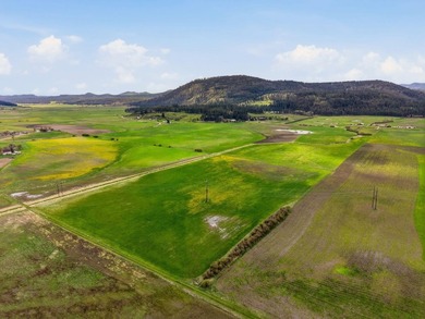 A rare opportunity to own a 392.5 ac turnkey equestrian ranch - photo 49