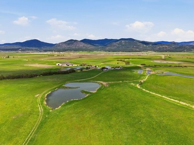 A rare opportunity to own a 392.5 ac turnkey equestrian ranch - photo 50