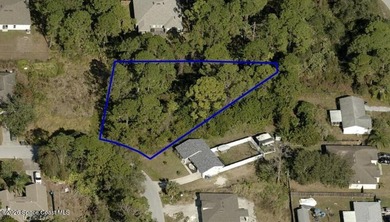 Imagine your dream home on this .48-acre pie-shaped lot, ideally - photo 1
