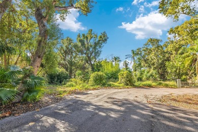 Lake Ola Lot For Sale in Mount Dora Florida