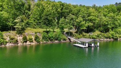 This 2.62-acre property on Brushy Creek stands out immediately - photo 11