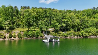 This 2.62-acre property on Brushy Creek stands out immediately - photo 13