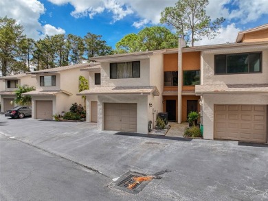 Lake Tarpon Townhome/Townhouse For Sale in Tarpon Springs Florida