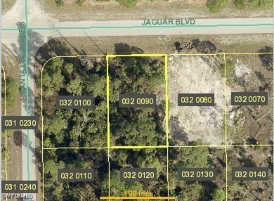 Lehigh Acres Area Lot For Sale in Lehigh Acres Florida