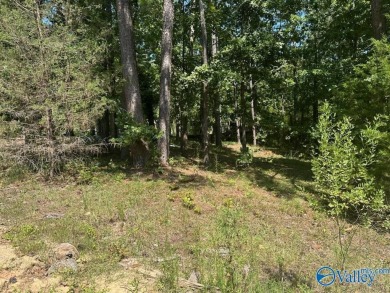 Neely Henry Lake Lot For Sale in Southside Alabama