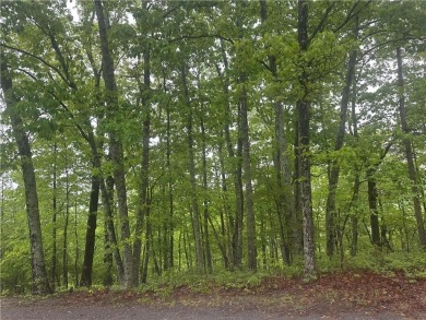 Lake Lot For Sale in Ranger, Georgia