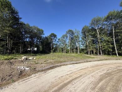 Discover a rare opportunity to build your dream home in one of - photo 1