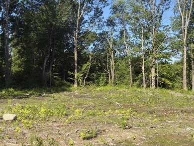 Discover a rare opportunity to build your dream home in one of - photo 2