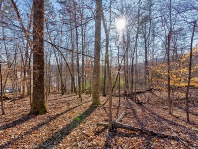Cherokee Lakefront Building Lot For Sale - Lake Lot Sale Pending in Mooresburg, Tennessee