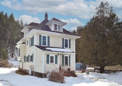 (private lake, pond, coastal) Home For Sale in Roscoe New York