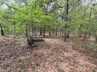 WATERFRONT PROPERTY ON LAKE FORK! Are you looking for a serene - photo 14