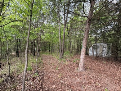 WATERFRONT PROPERTY ON LAKE FORK! Are you looking for a serene - photo 28