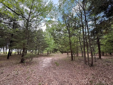 WATERFRONT PROPERTY ON LAKE FORK! Are you looking for a serene - photo 32