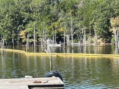WATERFRONT PROPERTY ON LAKE FORK! Are you looking for a serene - photo 33