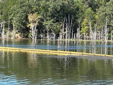 WATERFRONT PROPERTY ON LAKE FORK! Are you looking for a serene - photo 34