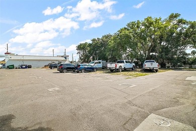 Located off of Kurt St. and Hwy 441 in Eustis, Kurt St. Plaza - photo 38