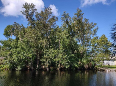 St. Johns River - Lake County Lot For Sale in Astor Florida