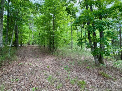 Smith Lake -Rock Creek This beautiful lot  features stunning - photo 23