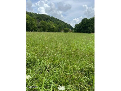 Clinch River Lot For Sale in Duffield Virginia