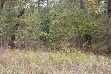 Cedar Creek Lake Lot For Sale in Malakoff Texas