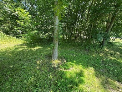 Tarsney Lake house on 4 lots! Cash only as this is more like a - photo 47