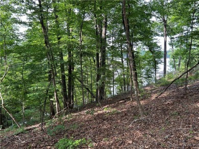 Lake Lot For Sale in Northport, Alabama